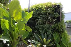攀枝花城市绿化护栏网