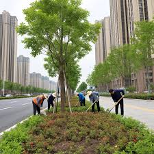 2026世界杯官网 室外环境绿化工程表格